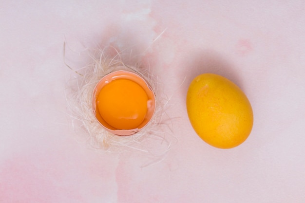 壊れた卵の巣の中で黄色の卵