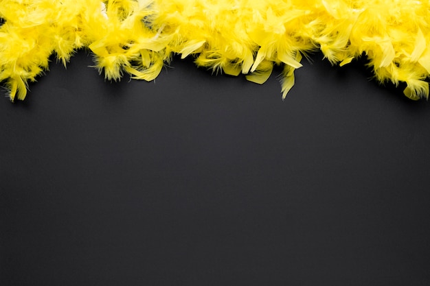 Yellow feather boa with copy space