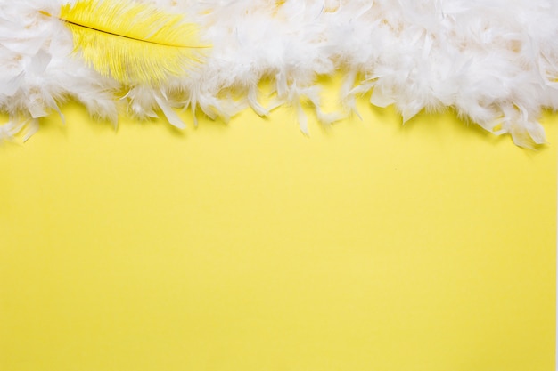 Free photo yellow feather on white