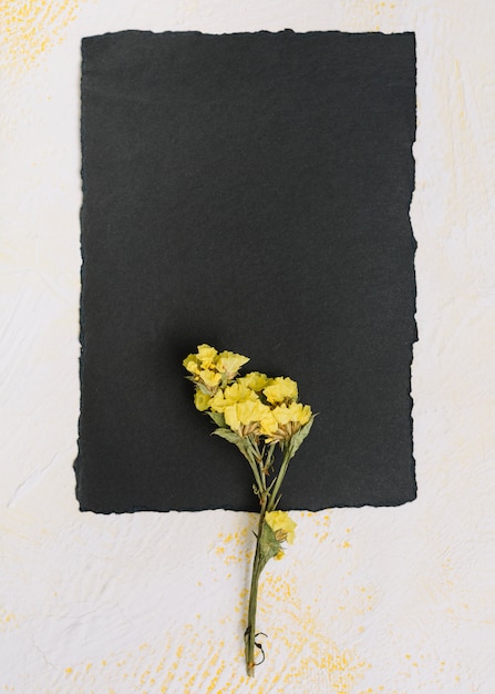 Yellow flower branch with black paper on table 