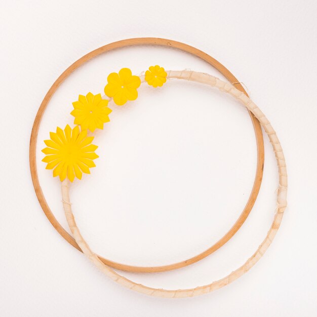 Yellow flower circular frame on white backdrop