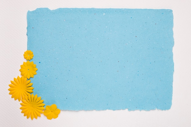 白い背景に青い破れた紙の隅に黄色の花