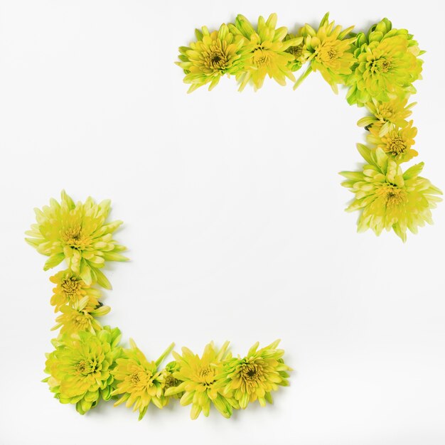 Yellow flower decoration on white background