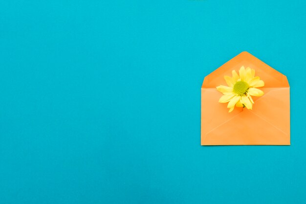 封筒に黄色の花