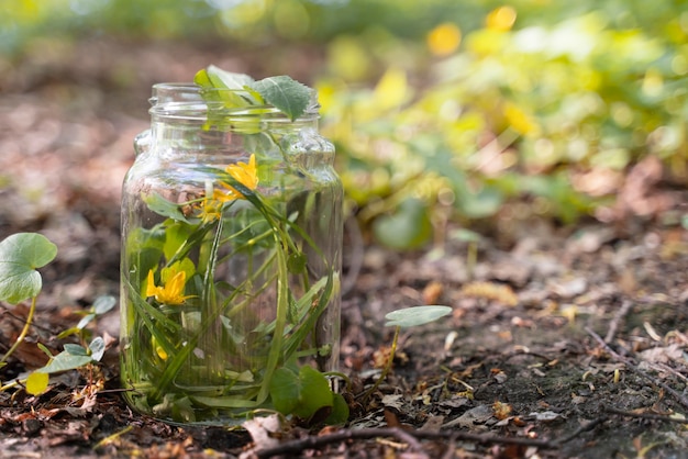 Yellow flower in a glass jar