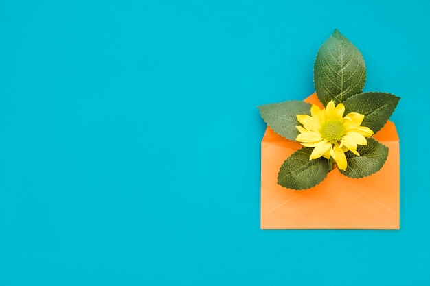 Yellow flower and leaves in envelope