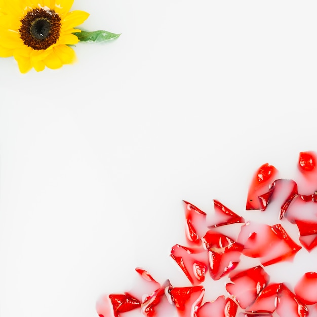 Yellow flower and red petals floating on water