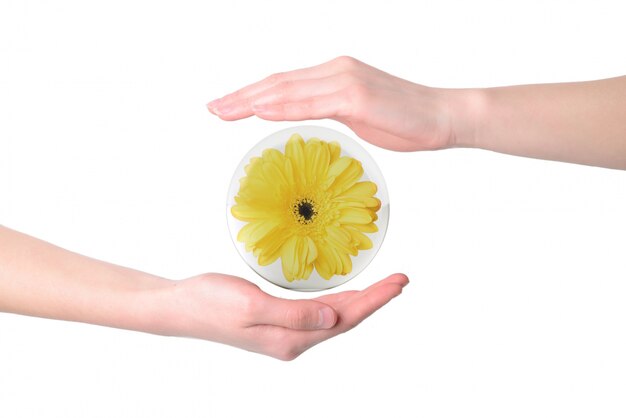 Желтый цветок окружен руками