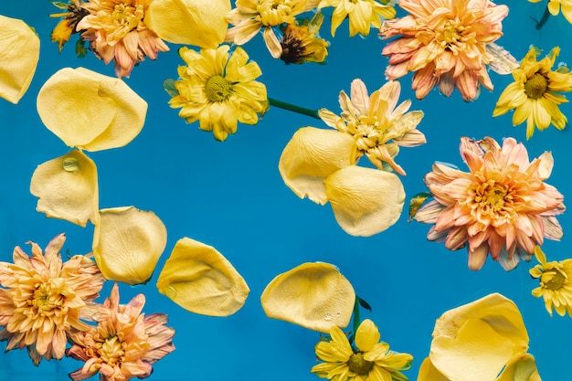 Желтые цветы в голубой воде