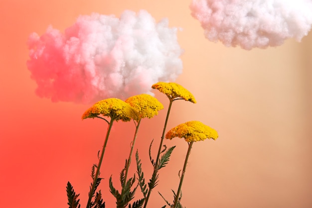 Yellow flowers and clouds