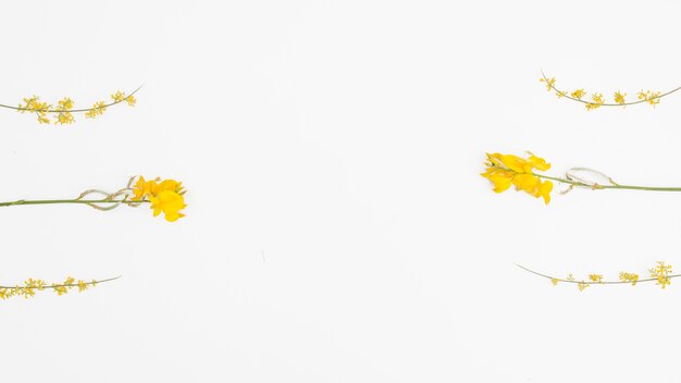 노란 꽃 플랫
