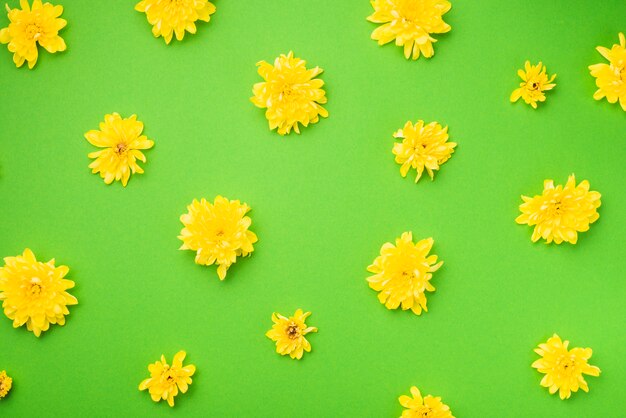 Yellow flowers on green