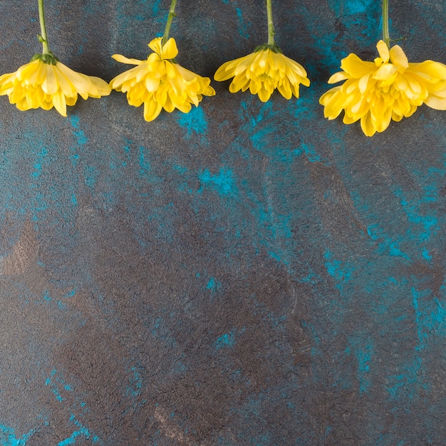 Foto gratuita fiori gialli su sfondo grunge