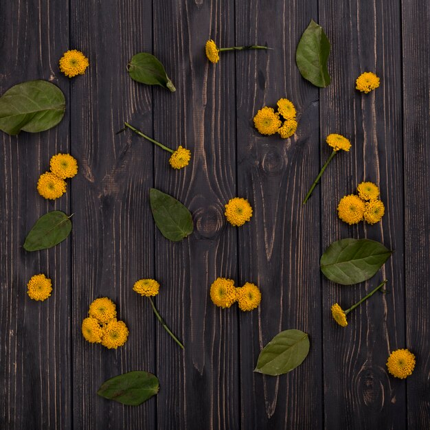 Yellow flowers and leaves