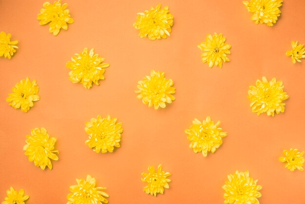 Yellow flowers on orange