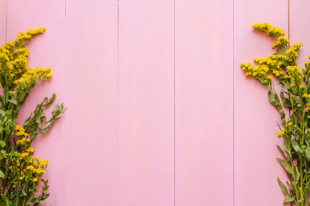 Yellow flowers on pink