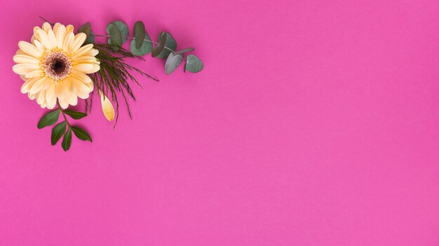 Yellow gerbera flower with green branches 