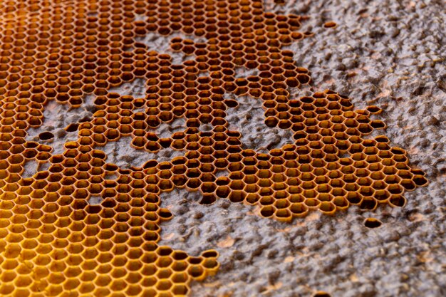 Yellow honeycomb texture