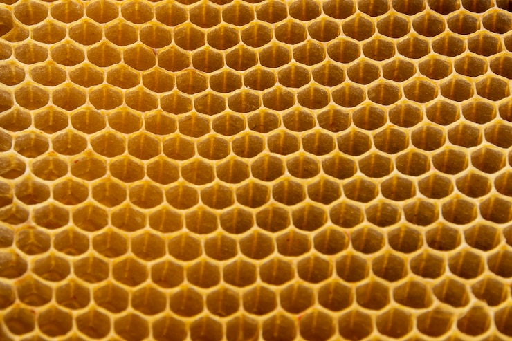 Free Photo yellow honeycomb texture