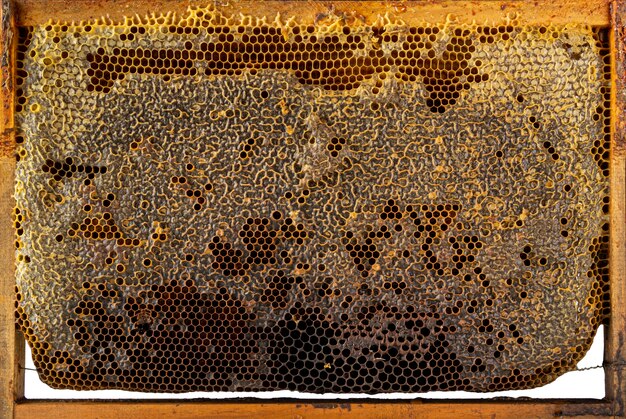 Yellow honeycomb texture