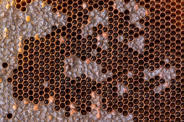 Yellow honeycomb texture