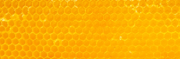 Free photo yellow honeycomb texture