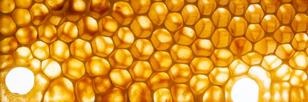 Yellow honeycomb texture