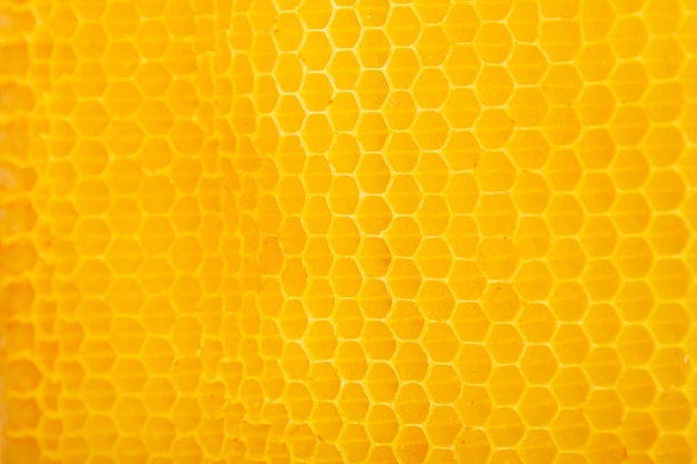 Yellow honeycomb texture