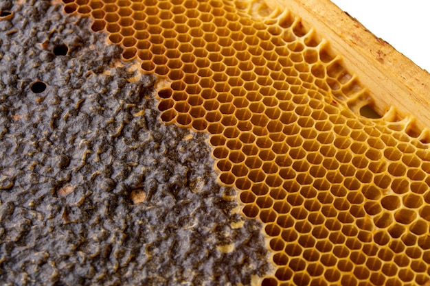 Yellow honeycomb texture