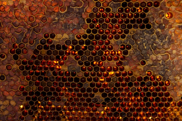 Yellow honeycomb texture