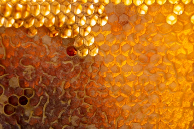 Yellow honeycomb texture