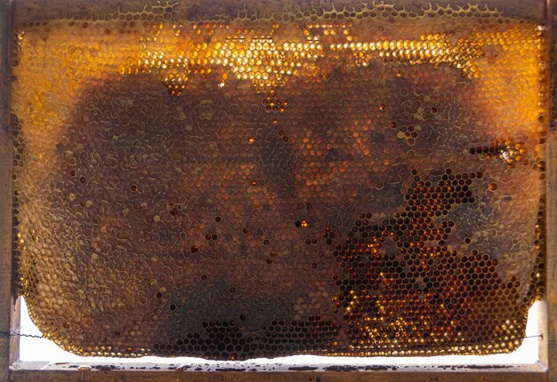 Yellow honeycomb texture