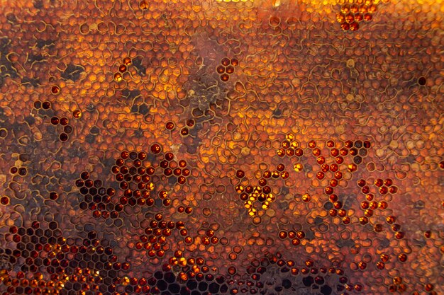 Yellow honeycomb texture