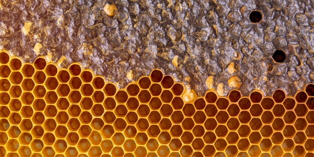 Yellow honeycomb texture