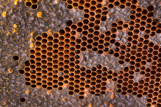 Yellow honeycomb texture