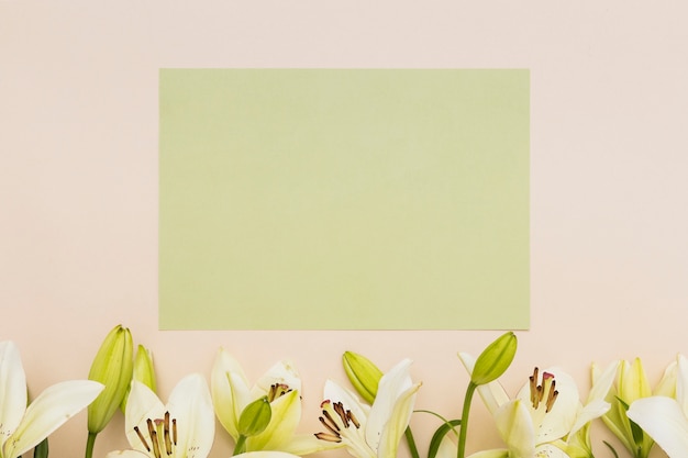 Бесплатное фото Желтые лилии и зеленая бумага