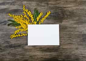 Foto gratuita fiori gialli mimosa con foglie verdi sul lato sotto la carta