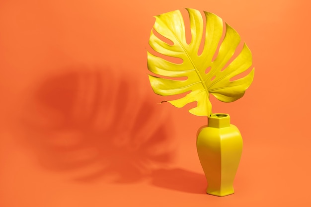 Yellow monstera leaf in vase still life