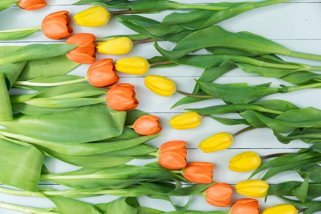 Yellow and orange tulips