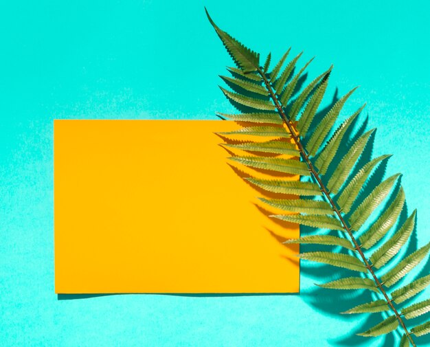 Yellow paper and tree leaf