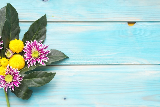 Free photo yellow and purple chrysanthemum flowers on green leaves over the blue wooden background