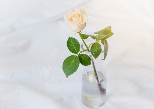 Foto gratuita rosa gialla che sta in vaso di vetro sulla tavola