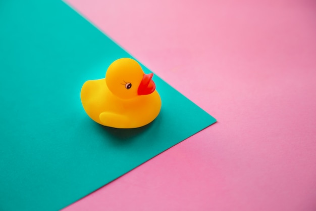 life size rubber duck