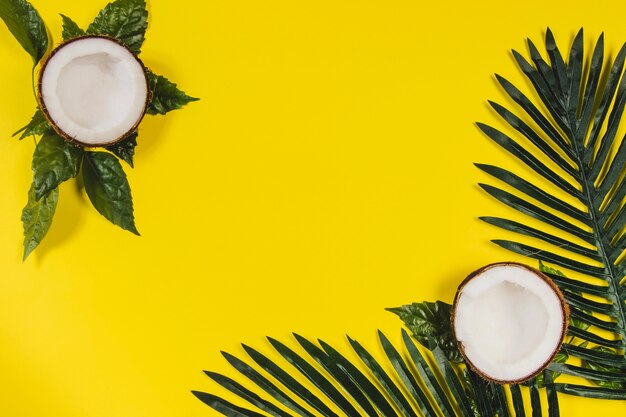 Желтая поверхность с кокосами и пальмовыми листьями