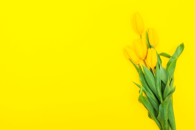 Yellow tulip flowers on table