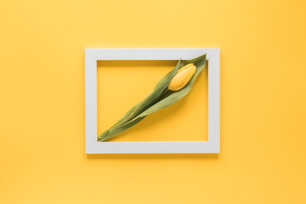 Free photo yellow tulip in frame on table