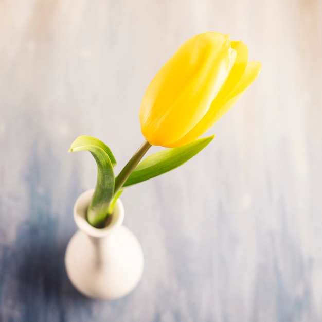 Yellow tulip in vase on grey table