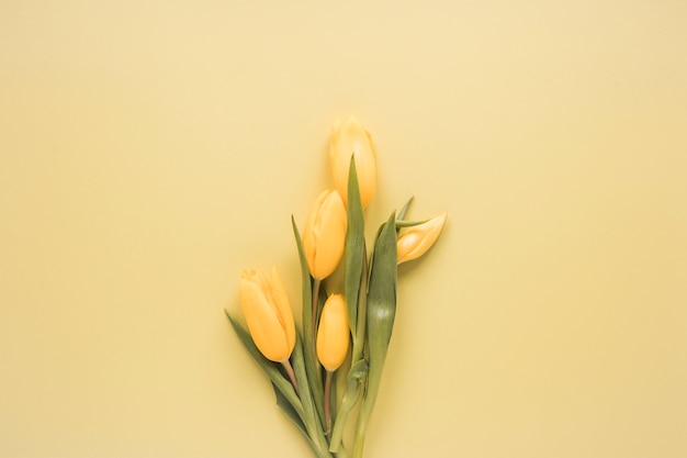 Yellow tulips bouquet on table