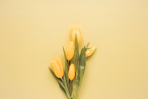 Yellow tulips bouquet on table