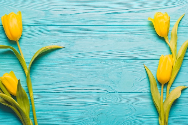 Желтые тюльпаны на фоне бирюзы
